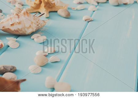 Seashells on blue wood, sea vacation background with copy space on wooden planks