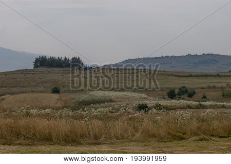Harvesting hay tractor work on field make haystacks, Plana mountain, Bulgaria