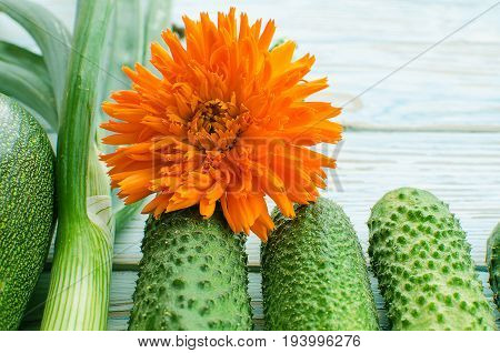 Still Life Of Cucumbers And Other Vegetables