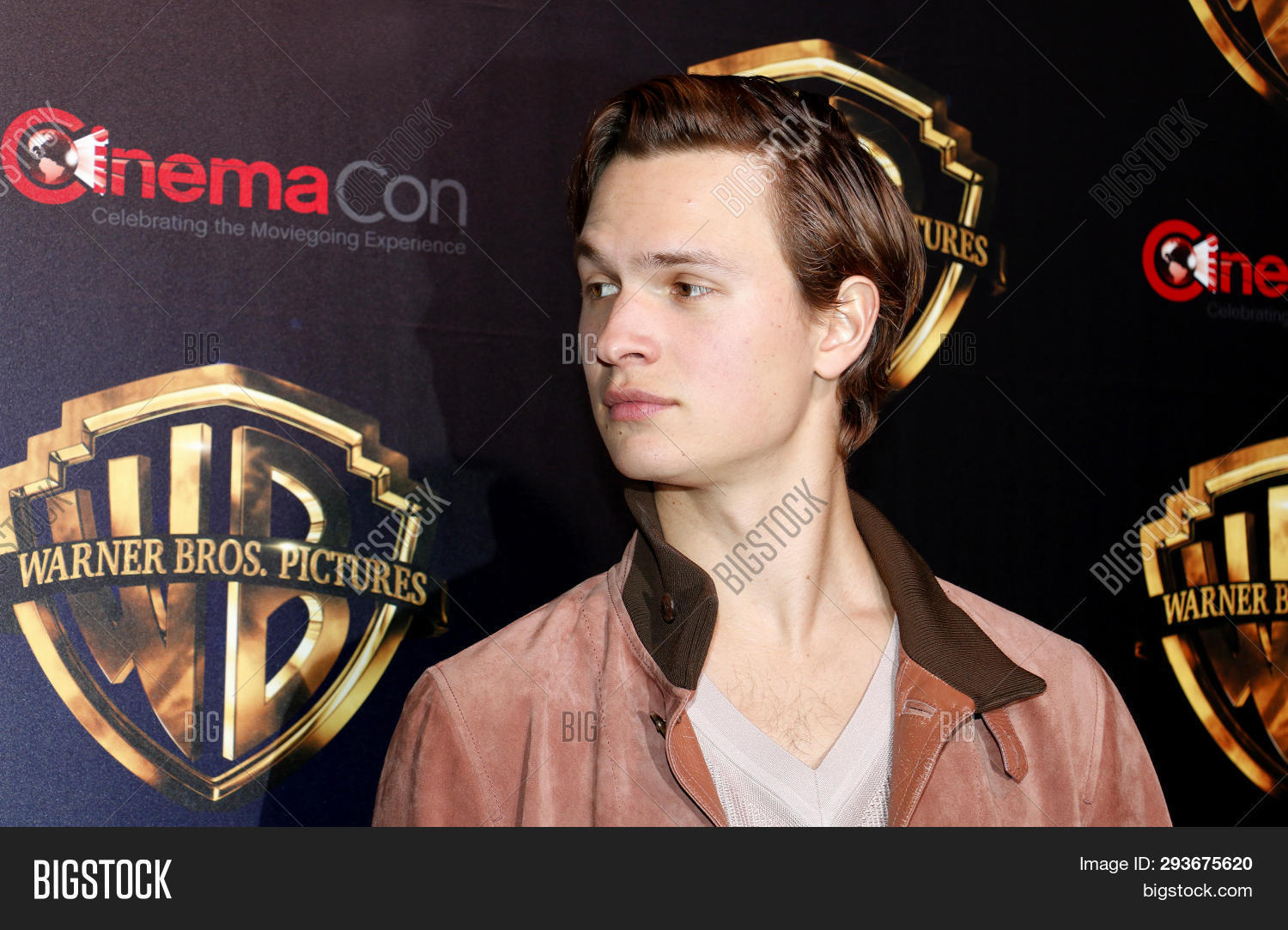 elgort actor - Ilustrasi 2