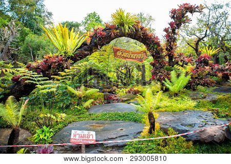 Sakon Nakhon,thailand,january 19,2019:natural Garden Exhibits At Wat Tham Pha Daen,sakon Nakhon,thai