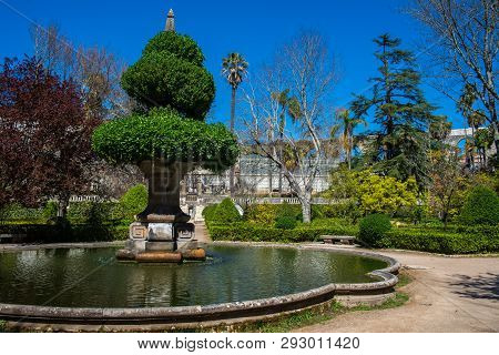 Botanic Garden Of The Coimbra University In Portugal