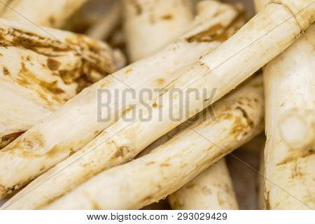 Horseradish Roots Close Up Background Image. Macro Shot