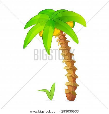 Vector Cartoon Plants Nature Clip Art. Coconut Palm