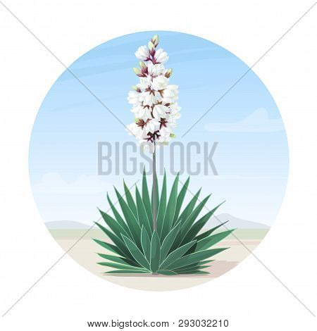 Vector Cartoon Plants Nature Clip Art. Blooming Yucca