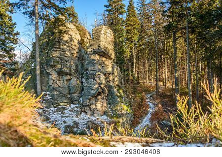 Rocks On The Tourist Trail In The Forest.