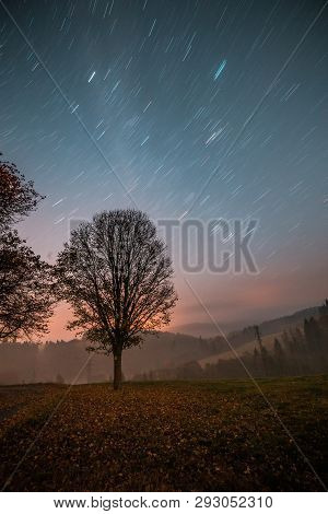 Single Tree Next To Path, Star Trails In The Sky, Night Long Exposure Photo.