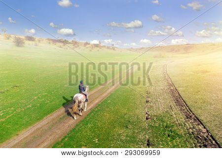 Young Female Equestrian Riding Horse Along Rural Countryside. Rider On Horseback Going Through Green