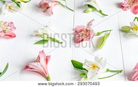 Pattern With Pink And White Flowers On A White Background. Alstroemeria Flowers On A Gray Background