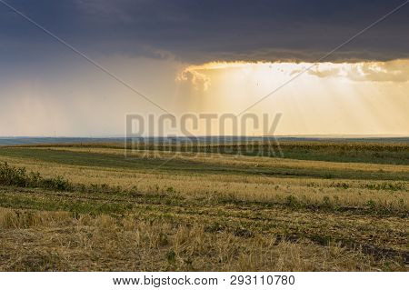 Rural Scenery In Moldavia With Fields Of Corn And Sunflower At Sunset