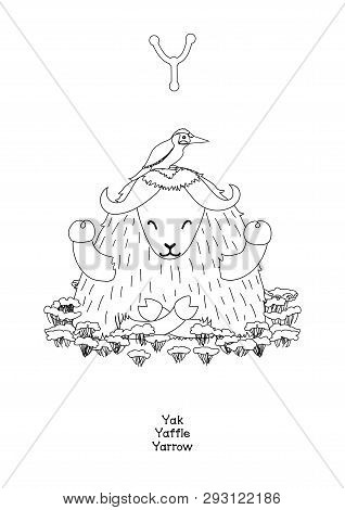 Vector Outline Animals English Alphabet For Letter Y