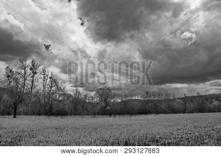 Black And White Photo Of A Field With A Forest Along The Edge And Clouds In The Sky