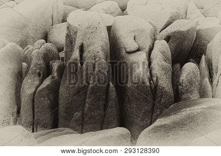 Black And White Photo Of Sea Stones Of Strange Abstract Shape