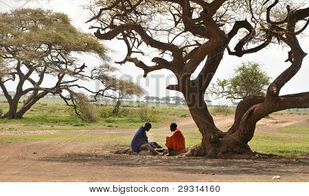 OLDUVAI GORGE, TANZANIE, PROSINEC 23, 2011, DVĚ MASAJSKÉ MUŽI HRAJÍCÍ DESKOVOU HRU POD STROMEM