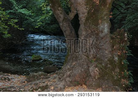 Agios Nikolaos Park Naousa Greece Europe
