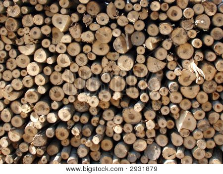 Biomasse
