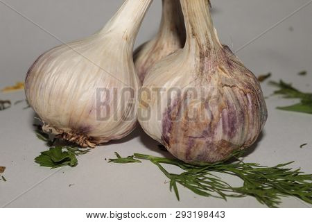 Three Heads Of Garlic Lie On A White Background Among The Remains Of Greenery