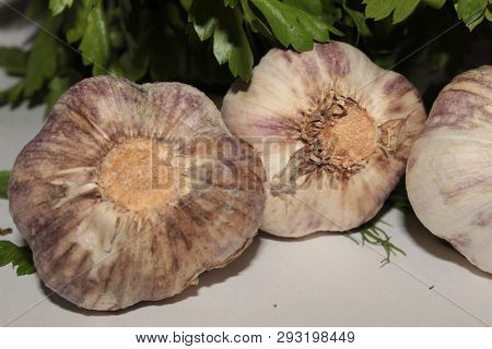 Three Heads Of Garlic Lie On A White Background Next To The Greens