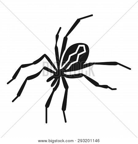Horror Spider Icon. Simple Illustration Of Horror Spider Vector Icon For Web Design Isolated On Whit