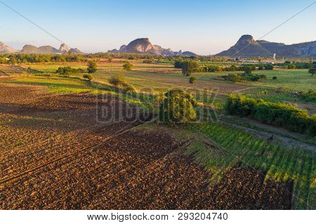 Aerial View Of Sugarcane Plantation Field With Sunset Light