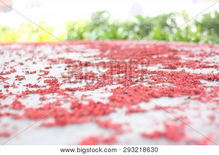 China Cracker Spread On The Floor