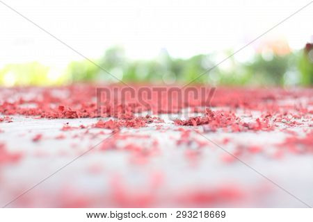 China Cracker Spread On The Floor