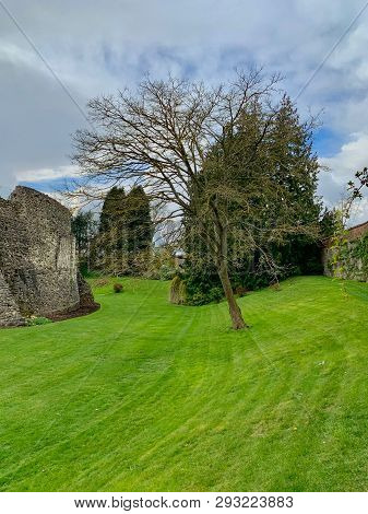 Old Ruins In Farnham