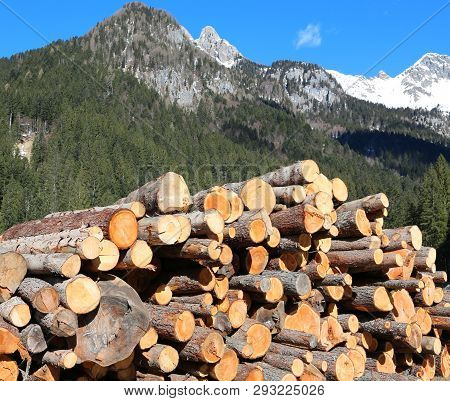 Cut Logs By The Lumberjack And The Pile Of Wood With Sky And High Mountains With Snow