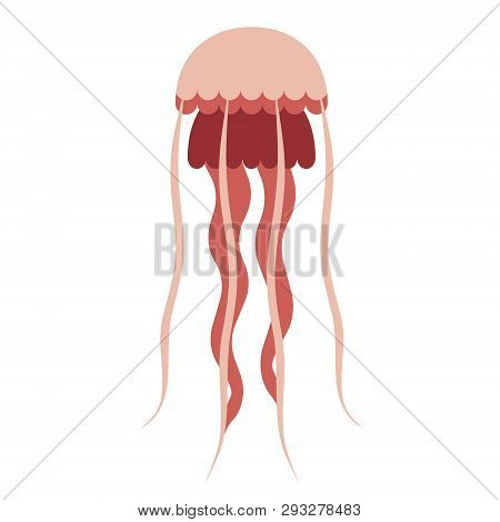 Red Jellyfish Flat Illustration On White. Marine And Undewater Life Series.