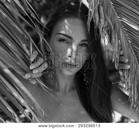 Young Beauty Wearing Swimwear Under The Palm Tree