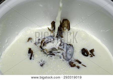 Hushaf - Date Milk, A Traditional Dish Of Ramadan, Cooking, Ingredients, Seedless Dates Lying In A S