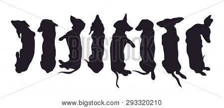Vector Illustration Of A Dachshund Who Lies, Drawing Silhouette, Vector, White Background.