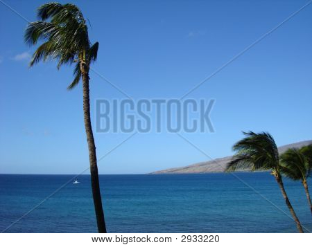 Maui
