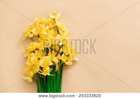 Spring Floral Background With Yellow Daffodil Flowers