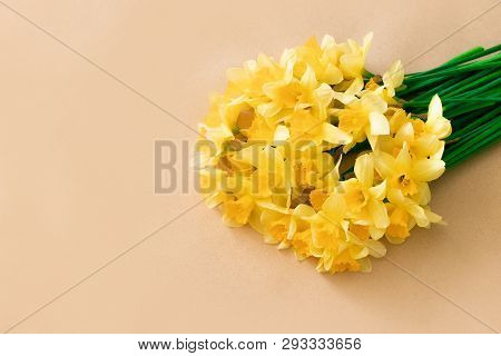 Spring Floral Background With Yellow Daffodil Flowers