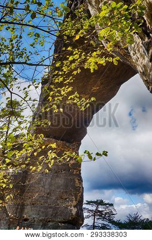 Pravcicka Brana Natural Landscape From Czech Republic
