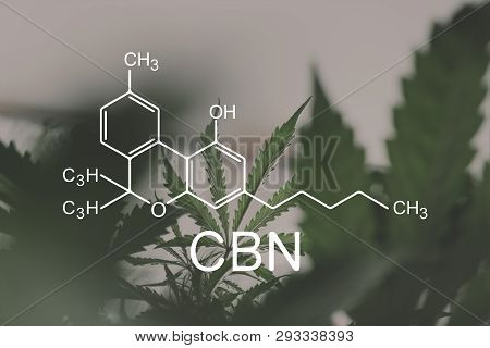 Cbn Formula, Cannabinoid . Despancery Business. Cannabinoids And Health, Medical Marijuana, Cbd And 