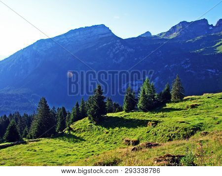 Alpine Peak Margelchopf Above The Voralpsee Lake And In The Alviergruppe Mountain Range - Canton Of 