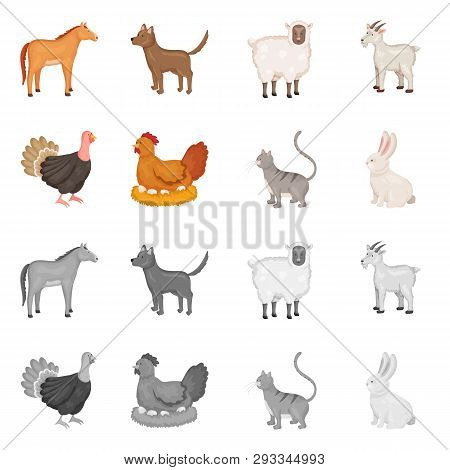 Vector Design Of Breeding And Kitchen  Icon. Set Of Breeding And Organic  Vector Icon For Stock.