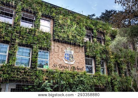 Johannesburg, South Africa, 22nd March- 2019: Vertical Garden On Wall Of Building.
Plants Planted On