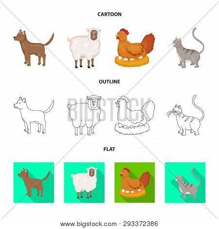 Vector Illustration Of Breeding And Kitchen  Icon. Set Of Breeding And Organic  Vector Icon For Stoc