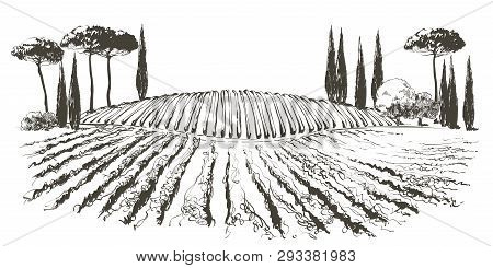 Vine Hills Landscape. Vector Line Sketch Illustration