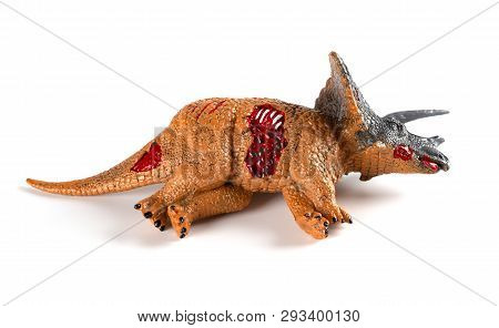 Triceratops Dead Body On A White Background