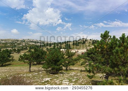 View Of Ai-petri Plateau. Beautiful Green Of Young Pines On The Background Of Stone And Blue Sky. Po