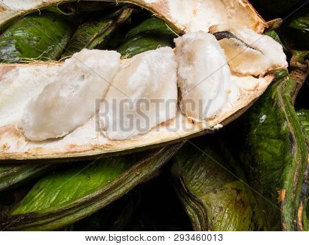 Exotic Tropical Fruit Called Guama (inga Edulis)