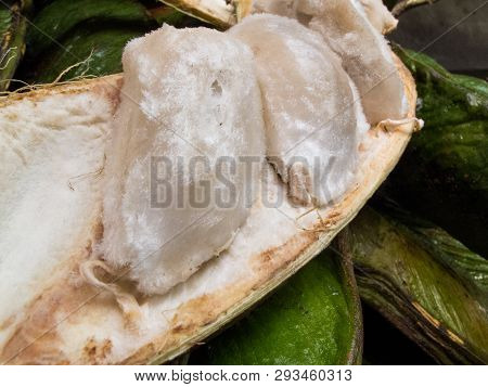 Exotic Tropical Fruit Called Guama (inga Edulis)