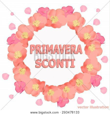 Bright Spring Background. Background With Beautiful Colorful Flowers. Vector Illustration.