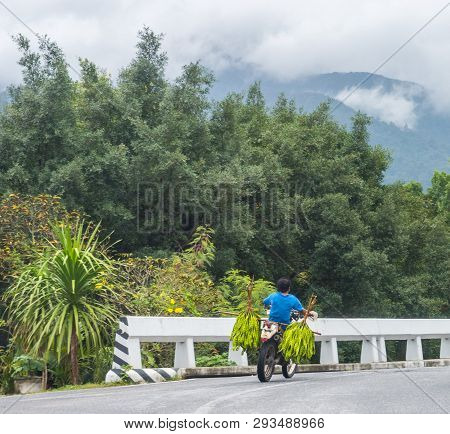Man Riding Motorcycle On A Mountain Highway With Bundles Of Sataw Beans