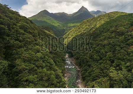 Anbo River In Yakushima Is A Very Beautiful River. It Can Be Seen From The Bridge That Is Very High,