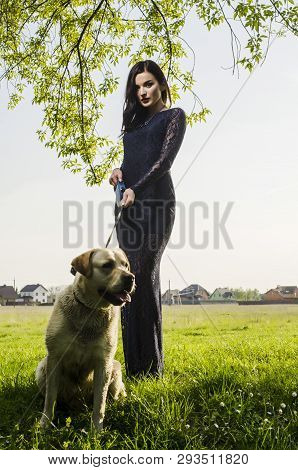 Beautiful Sexy Brunette In A Dress With Doggy On Stairs, Crosswalk. Grirl With Dog